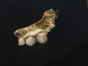 Stück von drei Zähnen in einem Zahnimplantat