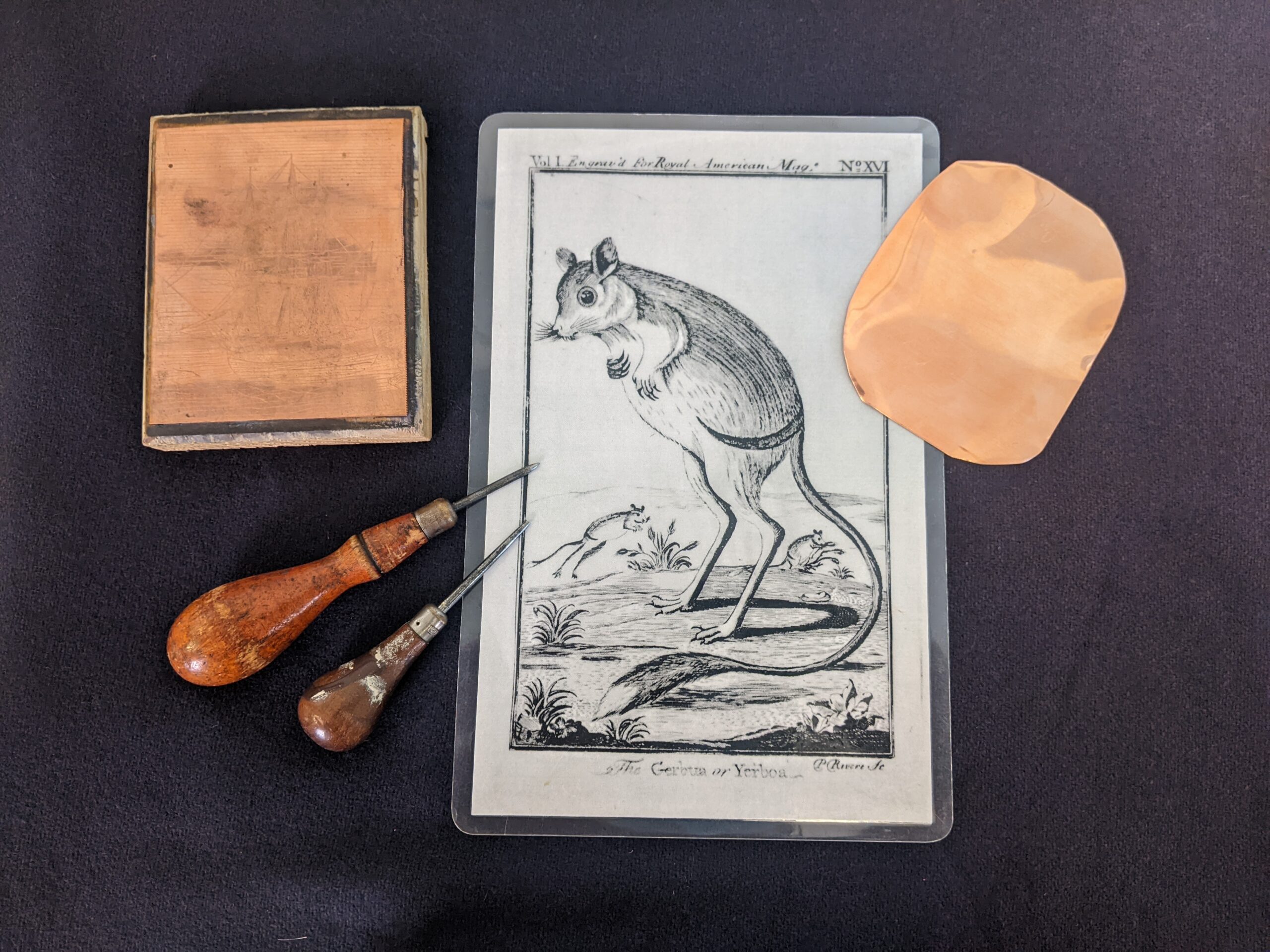 a photograph of Paul Revere's engraving of a gerboa, along with copper plates and engraving supplies